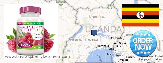 Dove acquistare Raspberry Ketone in linea Uganda
